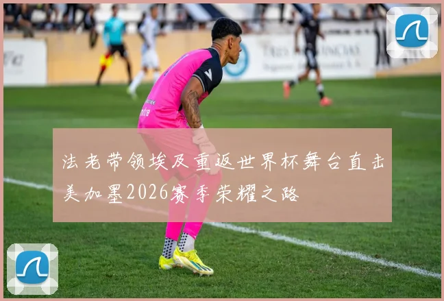 法老带领埃及重返世界杯舞台直击美加墨2026赛季荣耀之路