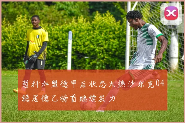 哲科加盟德甲后状态火热沙尔克04稳居德乙榜首继续发力