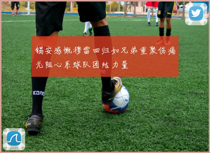 锡安感慨穆雷回归如兄弟重聚伤痛无阻心系球队团结力量