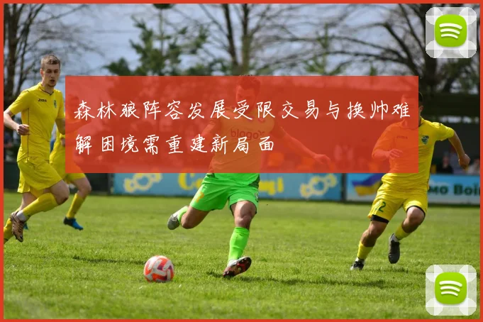 森林狼阵容发展受限交易与换帅难解困境需重建新局面