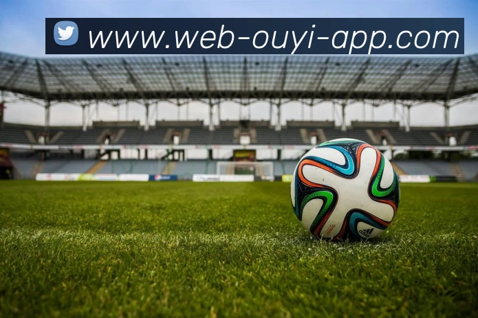 App Interface Preview