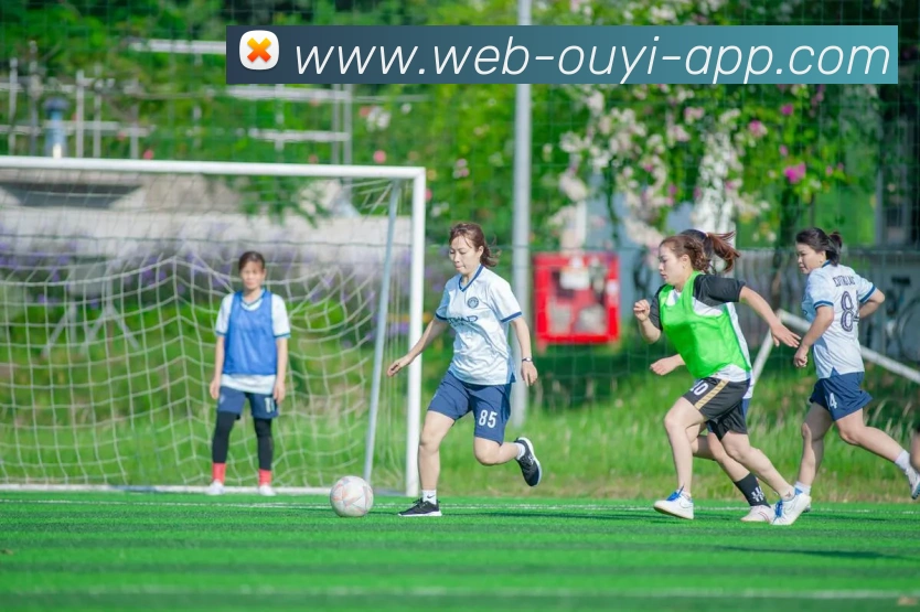 欧亿体育APP 封面图